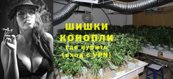 ПСИЛОЦИБИНОВЫЕ ГРИБЫ Балахна
