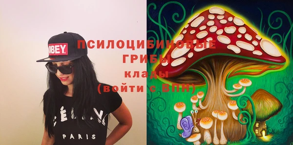 spice Баксан